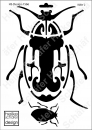 Schablone-Stencil A4 072-1566 Käfer 2